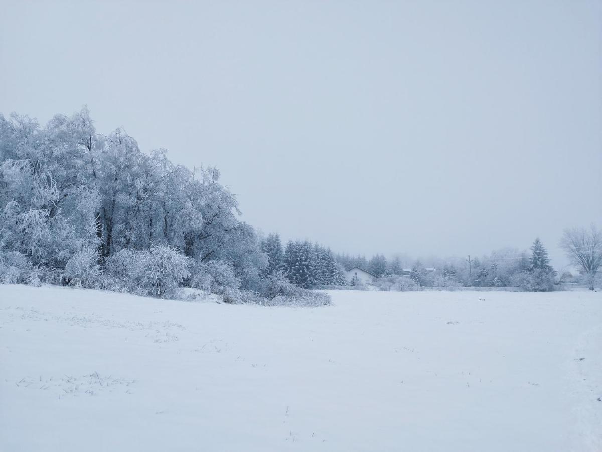 Penzion U Zpěváků Nove Hute Exterior foto